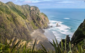 Mercer Bay Loop Track