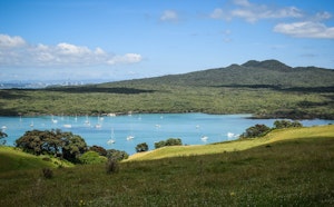 Rangitoto Island Loop