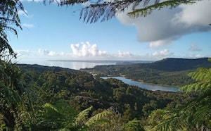 Around Arataki Visitor Center