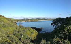 Tawharanui North Coast Track