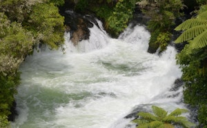 Okere Falls Track