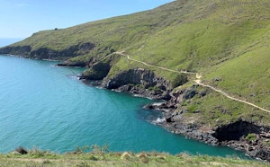 Godley Head Walkway