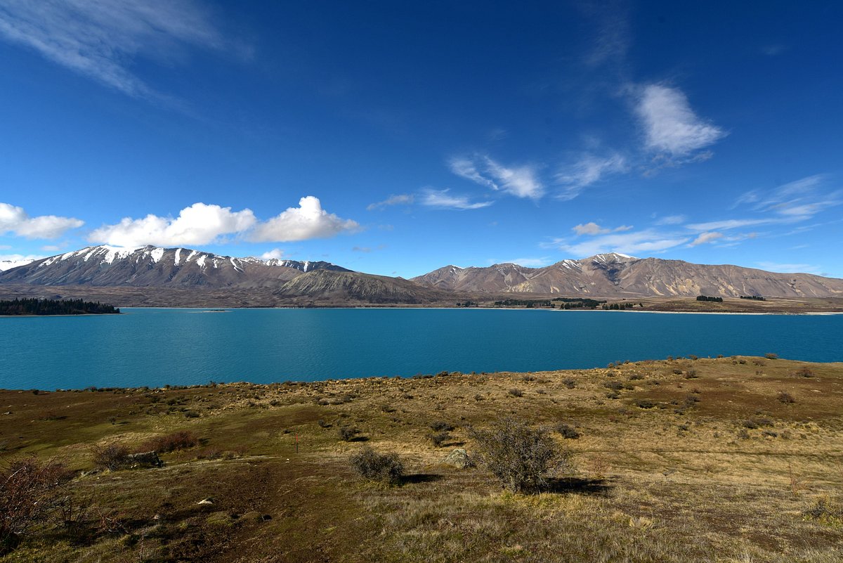 Lake Tekapo Peninsula Walkway
