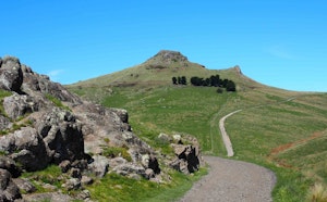 Rapaki Track