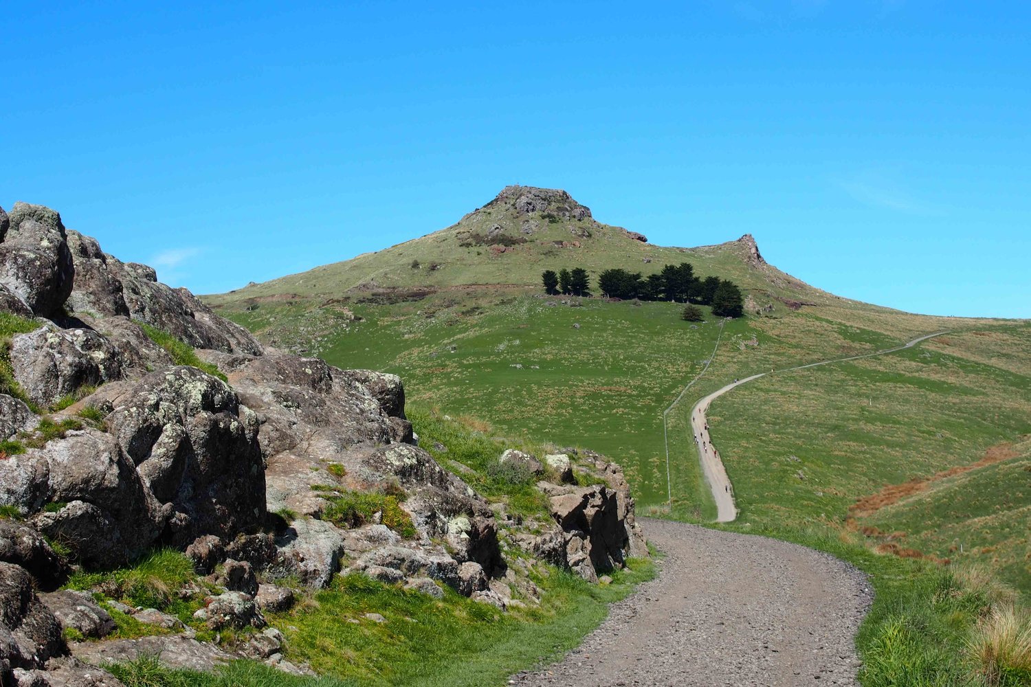 Rapaki Track
