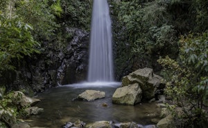 Washpen Falls Track