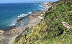 Mangawhai Cliffs Walkway