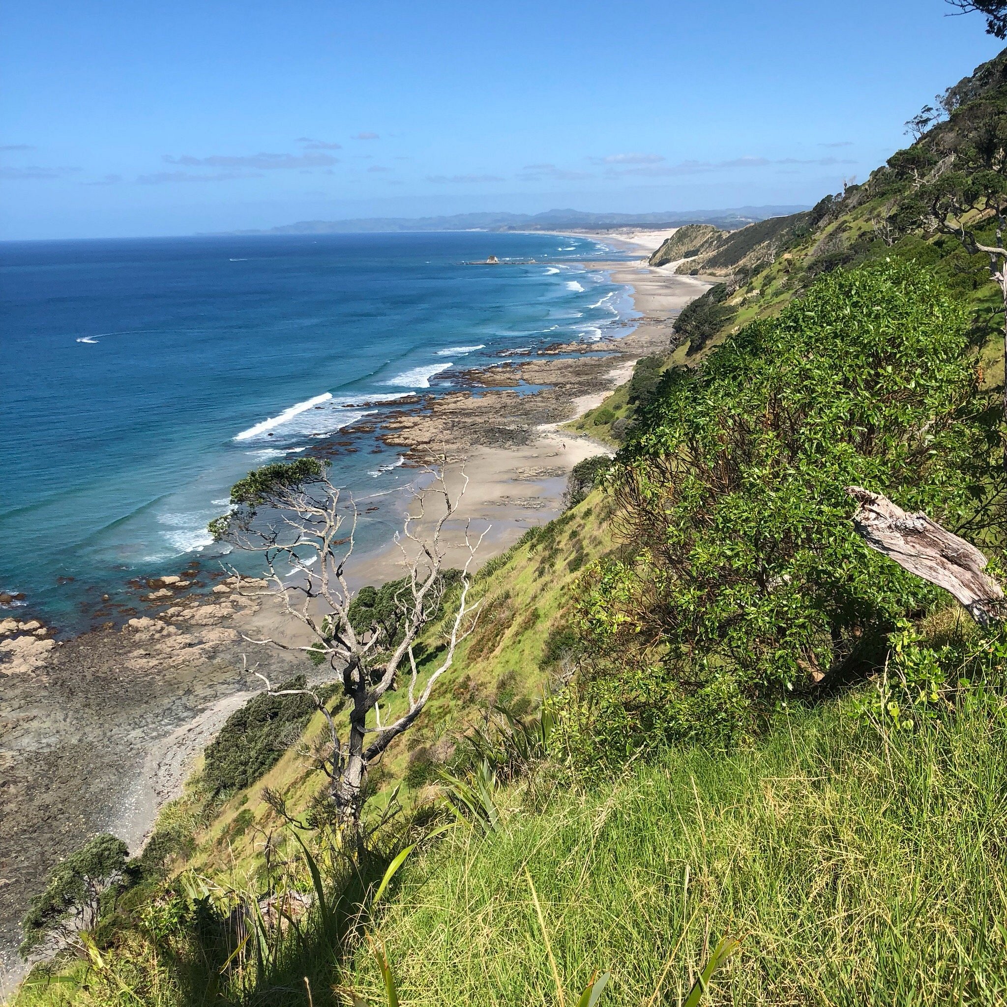 Mangawhai Cliffs Walkway
