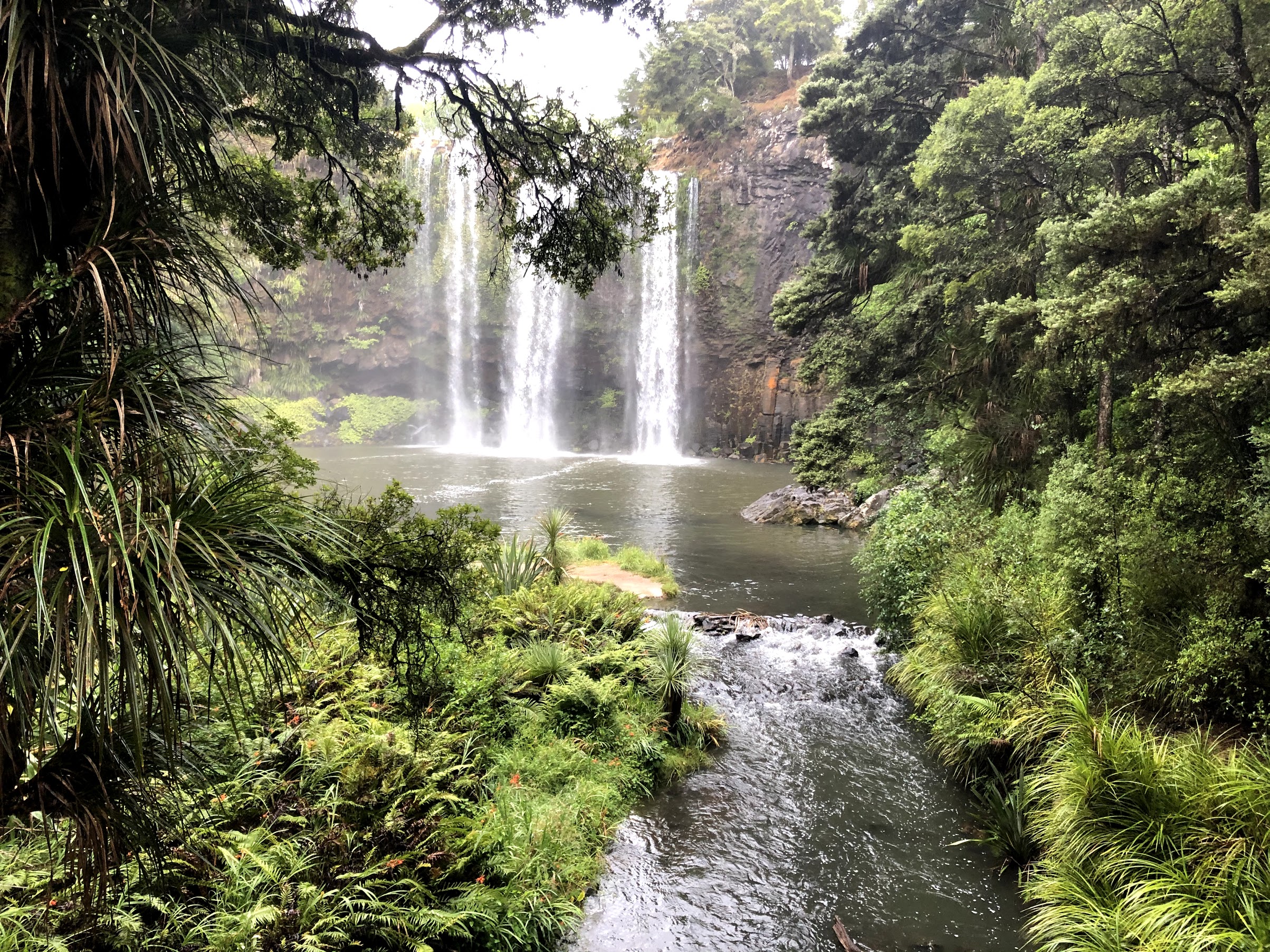 Whangarei Falls Track