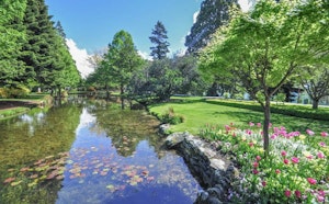 Queenstown Gardens Loop