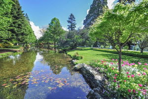 Queenstown Gardens Loop