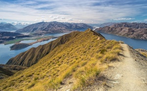 Roys Peak Track