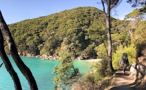 Yellow Point via Abel Tasman Coast Track
