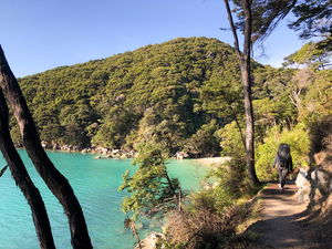  Yellow Point via Abel Tasman Coast Track