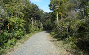 Ernies Loop Track