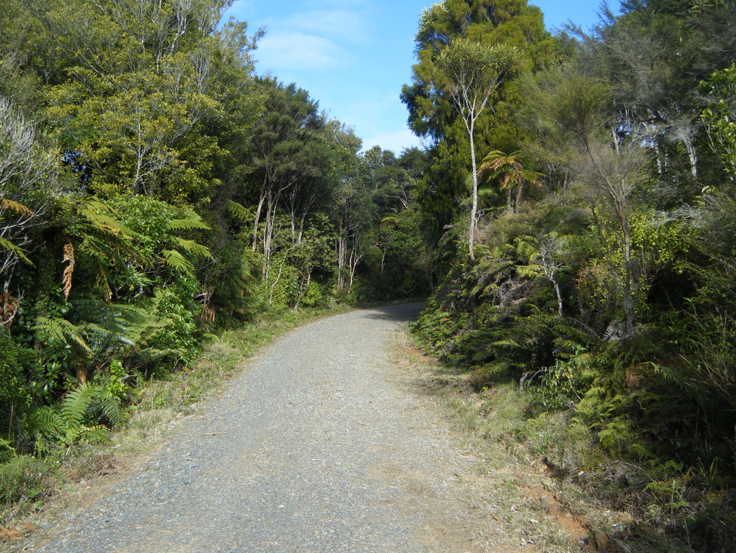 Ernies Loop Track