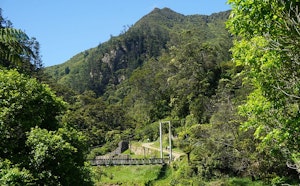 Karangahake Mountain Track
