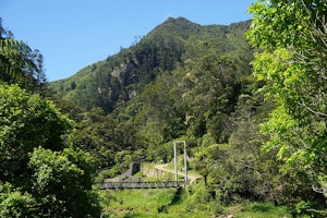Karangahake Mountain Track