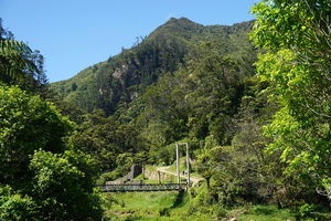 Karangahake Mountain Track