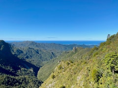 Kauaeranga Kauri Trail 