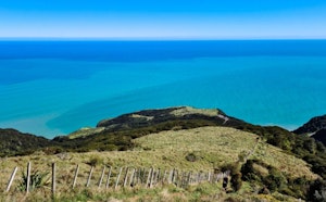 Mt Karioi Track
