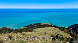 Mt Karioi Track
