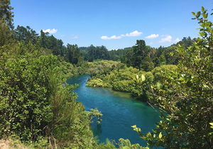 Spa Park to Huka Falls Walk