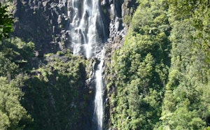 Wairere Falls Track
