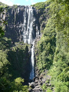 Wairere Falls Track