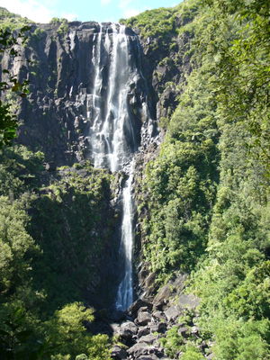 Wairere Falls Track
