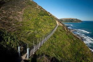 Paekakariki Escarpment Track