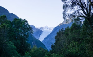 Fox Glacier South Side Walkway