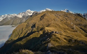 Mount Fox Route