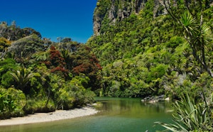 Pororari River Track