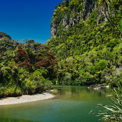 Paparoa National Park