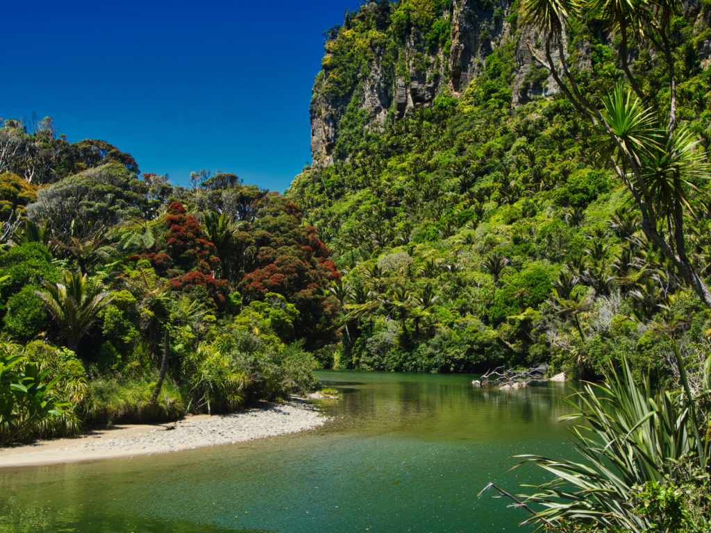 Pororari River Track