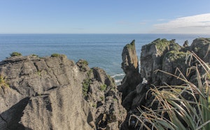 Punakaiki Pancake Rocks and Blowholes Loop