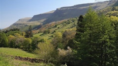 Glenariff Forest Park