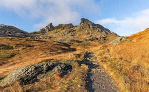 The Cobbler