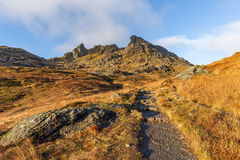 The Cobbler
