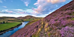 City of Edinburgh