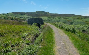 The Greenock Cut
