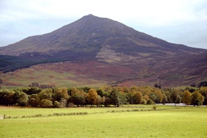 Schiehallion