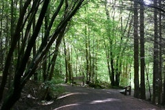 Chatelherault Country Park