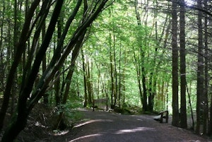 Chatelherault Country Park