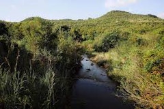 Faerie Glen Nature Reserve Loop