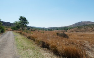 Groenkloof Yellow Trail
