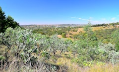 Moreleta Kloof Nature Reserve Trail