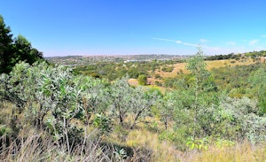 Moreleta Kloof Nature Reserve Trail