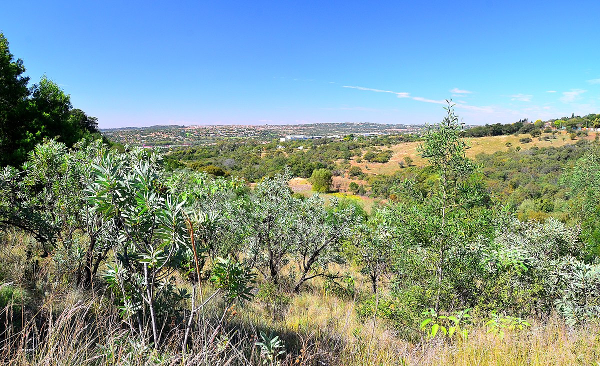 Moreleta Kloof Nature Reserve Trail